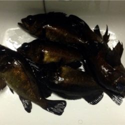 寒さに耐えられず