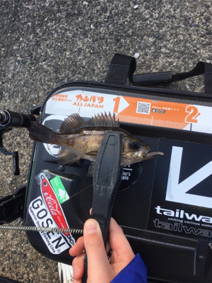 今年はおかしい