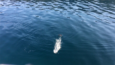 トルネードスピンさん！