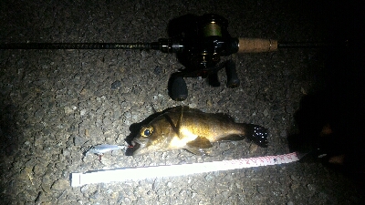 激渋メバリング