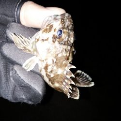 ダブルヘッダー