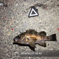 久しぶりのメバリング