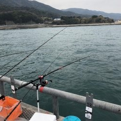 終わり間際ヒラメゲット！