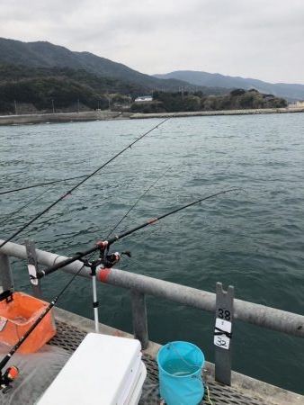 終わり間際ヒラメゲット！