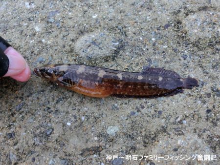 極寒落とし込み