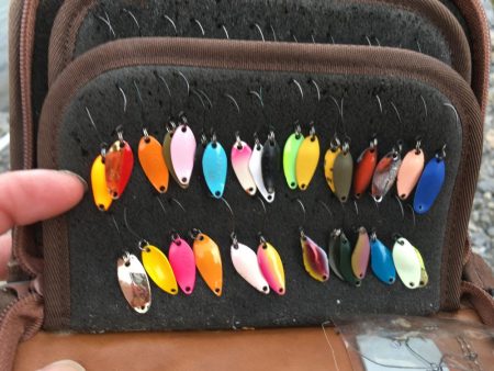 芥川マス釣り場のトラウト