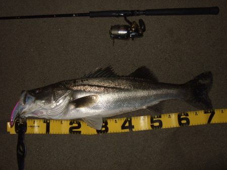 かなり戻ってきてます