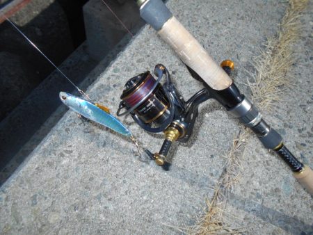 ちょこっとデイゲーム(淀川シーバス釣行)。