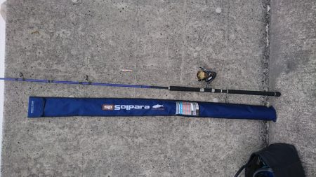 サゴシジャンプ