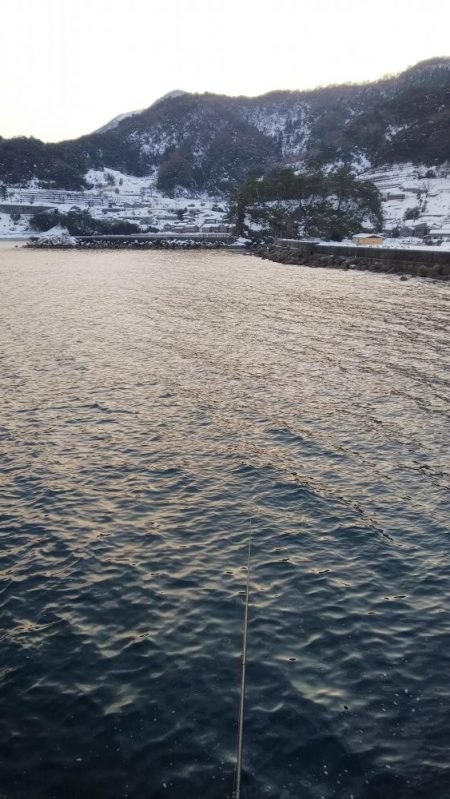 エギング　ヤリイカ