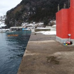 エギング　ヤリイカ