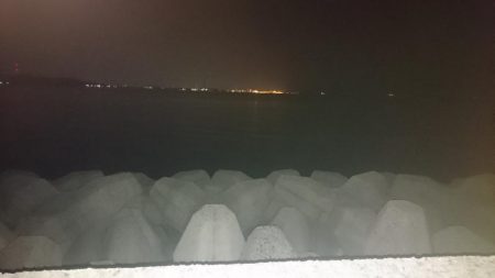 まだまだ厳しいメバリング