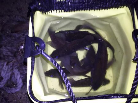 低潮位も高活性！