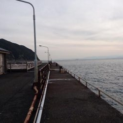 久しブリ❗逃しイワシ