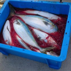 盛漁丸で初釣り