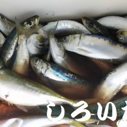 のんびりしてたら・・・。