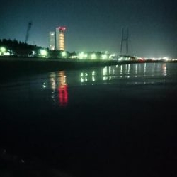 風邪はなかったがアタリもなく