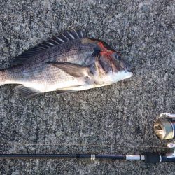 デイチニングで年無し