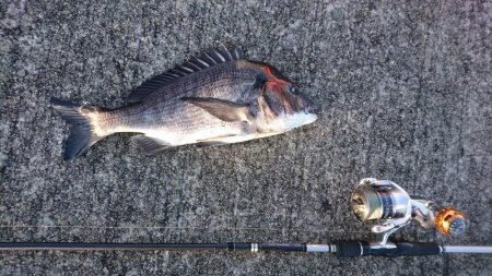 デイチニングで年無し