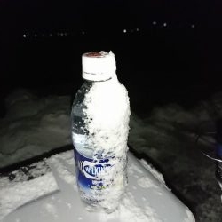 何度目かのヤリイカリベンジ