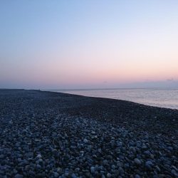 ヒラメ不発でサゴシ。