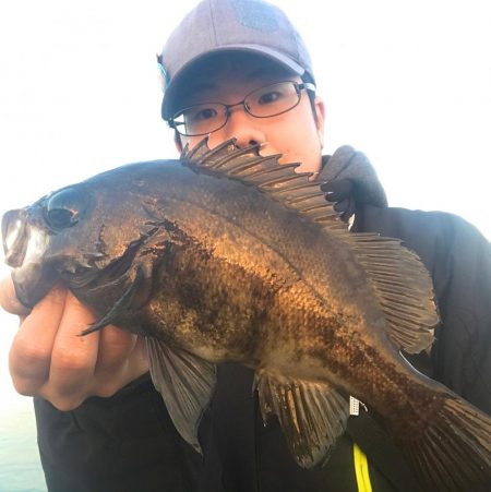 月夜〜朝マヅメ