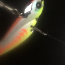 冷音 ふらっしー