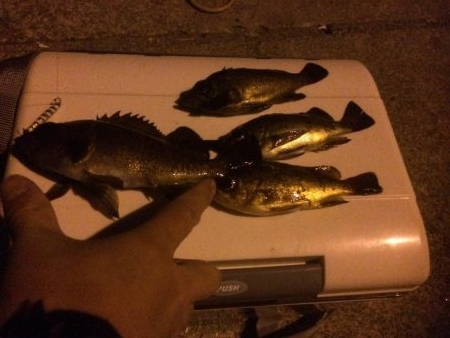 メバリング、ジグ