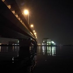 ヘチ釣りinかもめ大橋（2月の無風だが極寒の釣り）