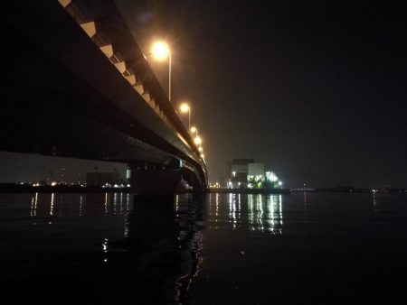 ヘチ釣りinかもめ大橋（2月の無風だが極寒の釣り）
