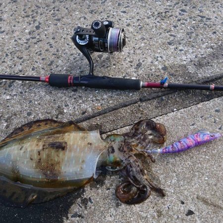 晴れのち曇り時々雪の爆風エギング