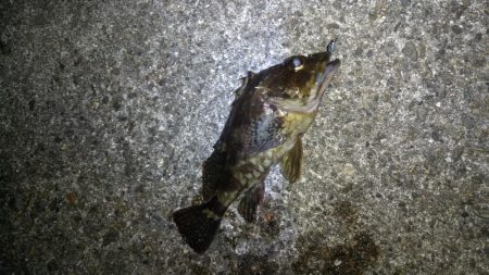 メバリングランガン