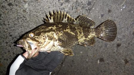 メバリングランガン