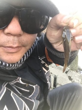 多摩川のガス橋下でチチブ爆釣。