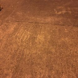 出張帰りに。。。