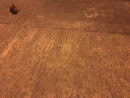 出張帰りに。。。