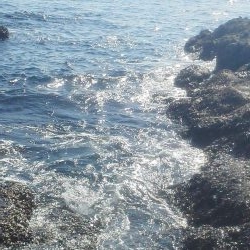 グレ・サンノジ・・渋いですよ！