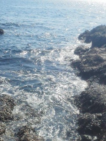 グレ・サンノジ・・渋いですよ！