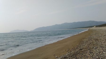 ヒラメ、サゴシを狙いに