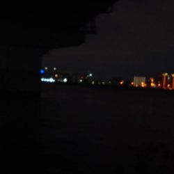 ホーム淀川での実釣調査