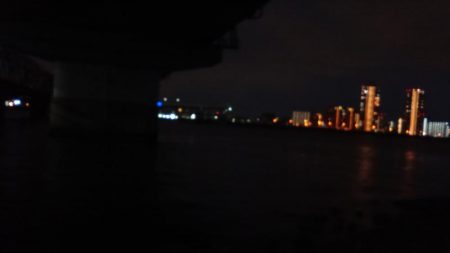 ホーム淀川での実釣調査