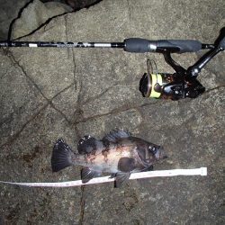 ナイトメバリング