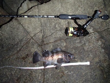 ナイトメバリング