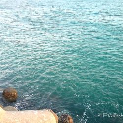 今回は寒かった〜!