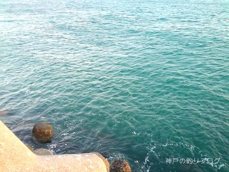 今回は寒かった〜!