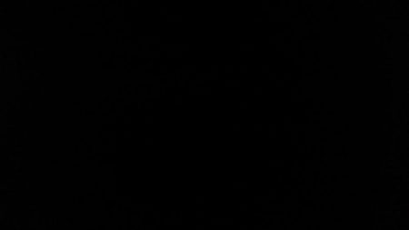 ストラクチャーにタイトに付くメバルを釣ってみた