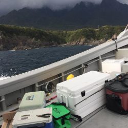 2月の4日間  屋久島の海釣り