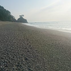 桂浜１番サーフ