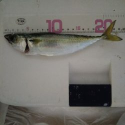 クーラー満タン