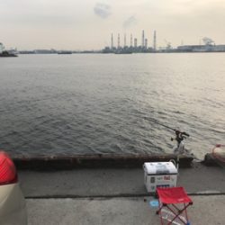 南港でエビ撒き！